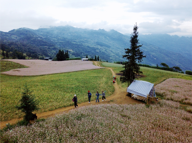 Lễ n&agrave;y đi đ&acirc;u? H&eacute; lộ kế hoạch du lịch ho&agrave;nh tr&aacute;ng của Khoai Lang Thang, Chan La C&agrave; v&agrave; d&agrave;n travel blogger đ&igrave;nh đ&aacute;m - Ảnh 32.