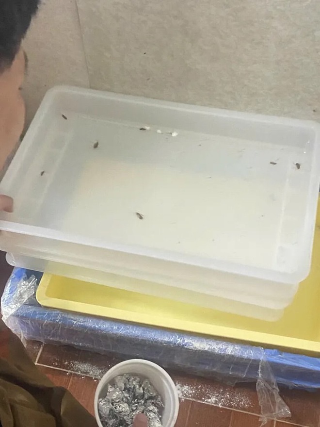 X&ocirc;n xao h&igrave;nh ảnh nghi vấn bếp bẩn tại tiệm b&aacute;nh nổi tiếng H&agrave; Nội, đại diện qu&aacute;n ch&iacute;nh thức l&ecirc;n tiếng - Ảnh 3.