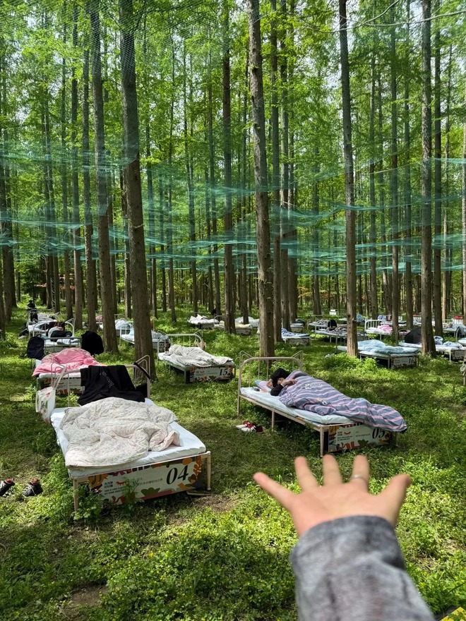 Cuộc thi ngủ trong rừng đang hot ở Trung Quốc: K&iacute;n 400 suất đăng k&yacute;, tiền thưởng cho &ldquo;thần ngủ" l&agrave; bao nhi&ecirc;u? - Ảnh 2.