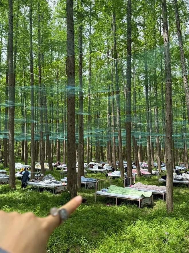 Cuộc thi ngủ trong rừng đang hot ở Trung Quốc: K&iacute;n 400 suất đăng k&yacute;, tiền thưởng cho &ldquo;thần ngủ" l&agrave; bao nhi&ecirc;u? - Ảnh 1.