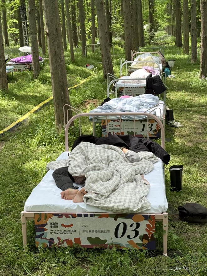 Cuộc thi ngủ trong rừng đang hot ở Trung Quốc: K&iacute;n 400 suất đăng k&yacute;, tiền thưởng cho &ldquo;thần ngủ" l&agrave; bao nhi&ecirc;u? - Ảnh 4.