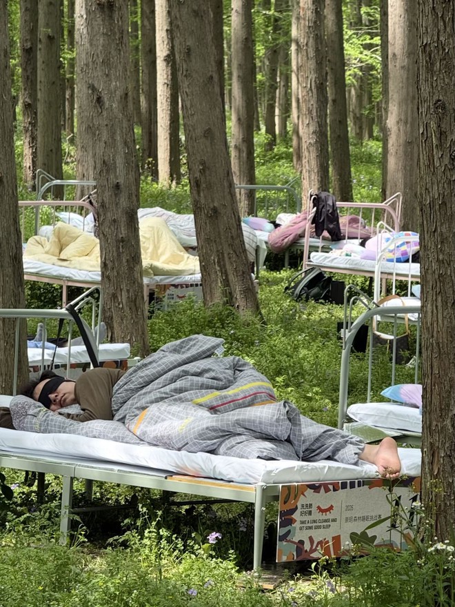 Cuộc thi ngủ trong rừng đang hot ở Trung Quốc: K&iacute;n 400 suất đăng k&yacute;, tiền thưởng cho &ldquo;thần ngủ" l&agrave; bao nhi&ecirc;u? - Ảnh 3.
