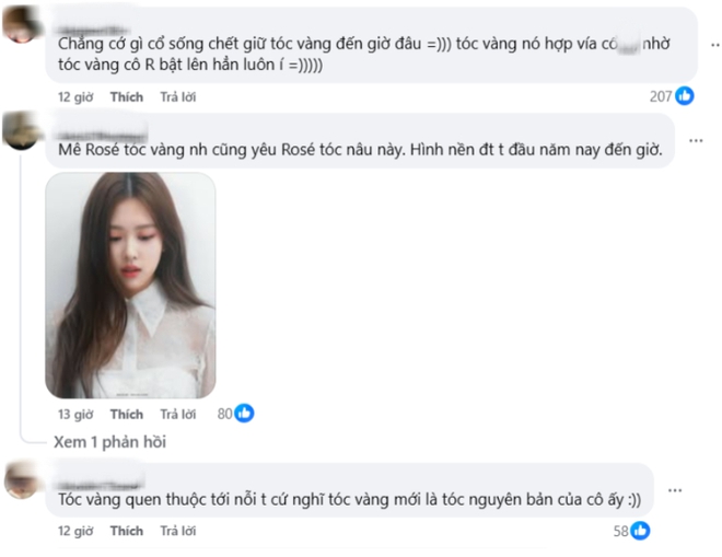 Rộ tranh c&atilde;i Ros&eacute; để t&oacute;c đen đẹp hơn t&oacute;c v&agrave;ng, nhưng c&oacute; một l&yacute; do khiến c&ocirc; kh&oacute; &ldquo;quay xe&rdquo;- Ảnh 5.