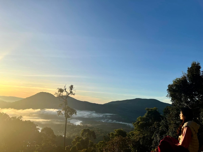 BTV thời sự 19h nghỉ việc ở VTV để l&agrave;m CEO v&agrave; "sống trong nhung lụa", cực kỳ k&iacute;n tiếng chuyện chồng con - Ảnh 8.