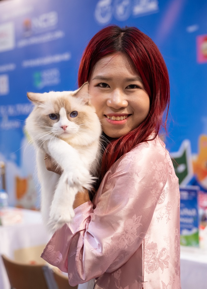 Cupido - &ldquo;idol t&oacute;p t&oacute;p&rdquo; đăng quang "Hoa hậu" cuộc thi m&egrave;o đẹp: Gi&aacute; v&agrave;i trăm triệu, ăn thịt b&ograve; h&agrave;ng ng&agrave;y- Ảnh 13.