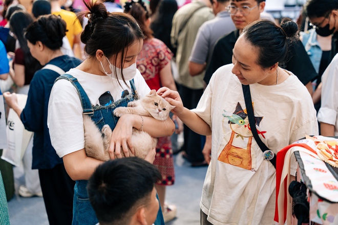 Cupido - &ldquo;idol t&oacute;p t&oacute;p&rdquo; đăng quang "Hoa hậu" cuộc thi m&egrave;o đẹp: Gi&aacute; v&agrave;i trăm triệu, ăn thịt b&ograve; h&agrave;ng ng&agrave;y- Ảnh 3.