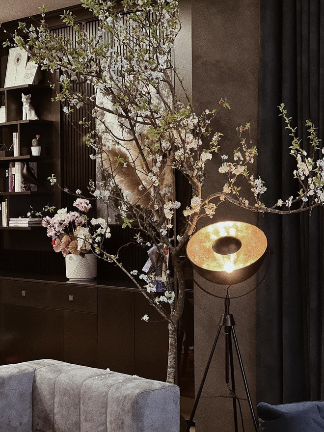 Thứ tr&aacute;i c&acirc;y rẻ b&egrave;o được giới nh&agrave; gi&agrave;u m&ecirc; nhất hiện tại: Tăng Thanh H&agrave;, Mỹ T&acirc;m, Do&atilde;n Hải My trồng k&iacute;n biệt thự- Ảnh 11.