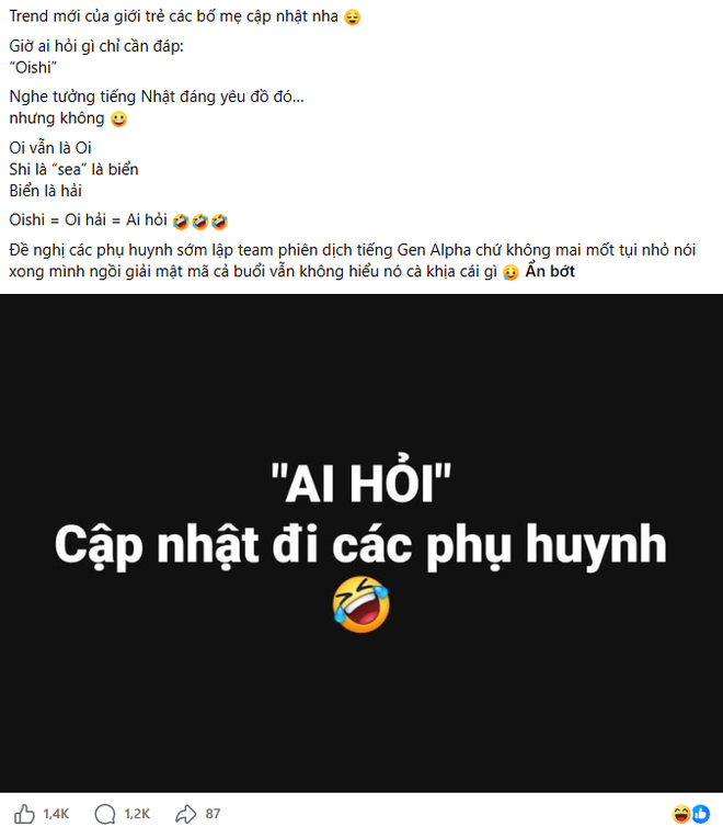 &ldquo;Nắng biển&rdquo;, &ldquo;Hạ Long&rdquo;, &ldquo;ủ muối&rdquo;, &ldquo;Oishi",... l&agrave; g&igrave;? Nghỉ h&egrave; chưa bao l&acirc;u, phụ huynh đ&atilde; phải học lại tiếng Việt! - Ảnh 2.