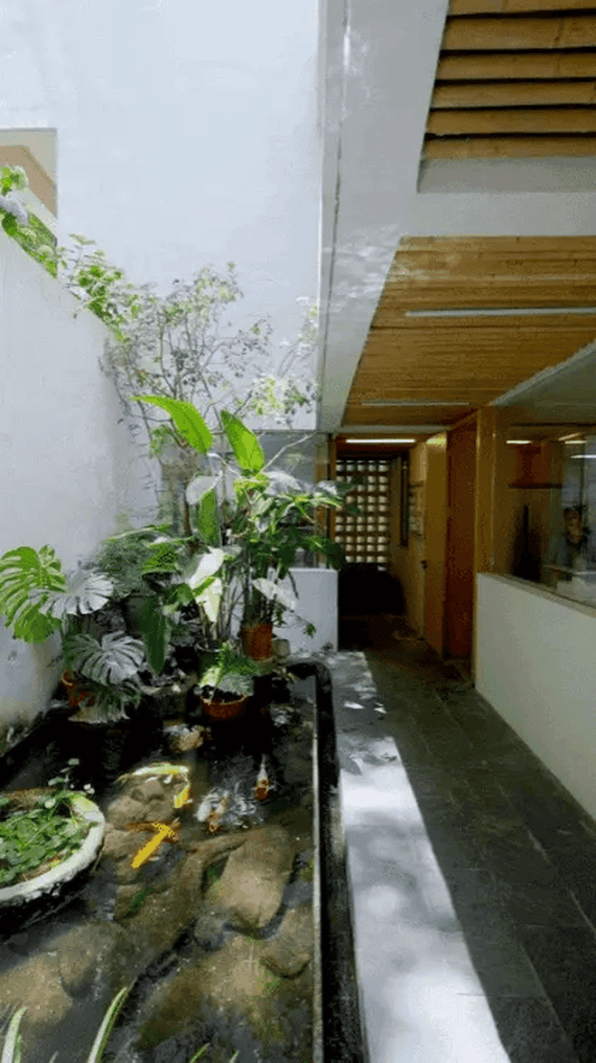 Ch&agrave;ng trai 30 tuổi về qu&ecirc; x&acirc;y nh&agrave; rộng 760m2, 3 tầng: H&agrave;ng x&oacute;m ch&ecirc; 