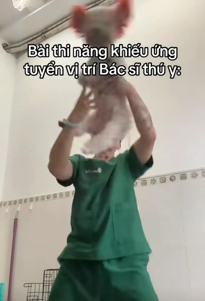 Bác sĩ thú y ở TP.HCM bị chỉ trích khi giày vò chó mèo ở phòng khám, càng lên tiếng càng gây phẫn nộ - Ảnh 2.