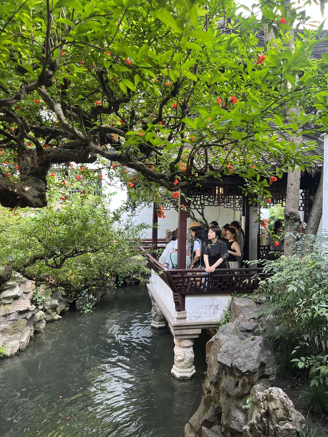Chỉ có 12 giờ nhưng trót "luỵ" Thượng Hải: Ăn lẩu thực tế ảo, xuyên không về vườn nhà Minh và săn hoàng hôn ở Hoàng Phố - Ảnh 12.