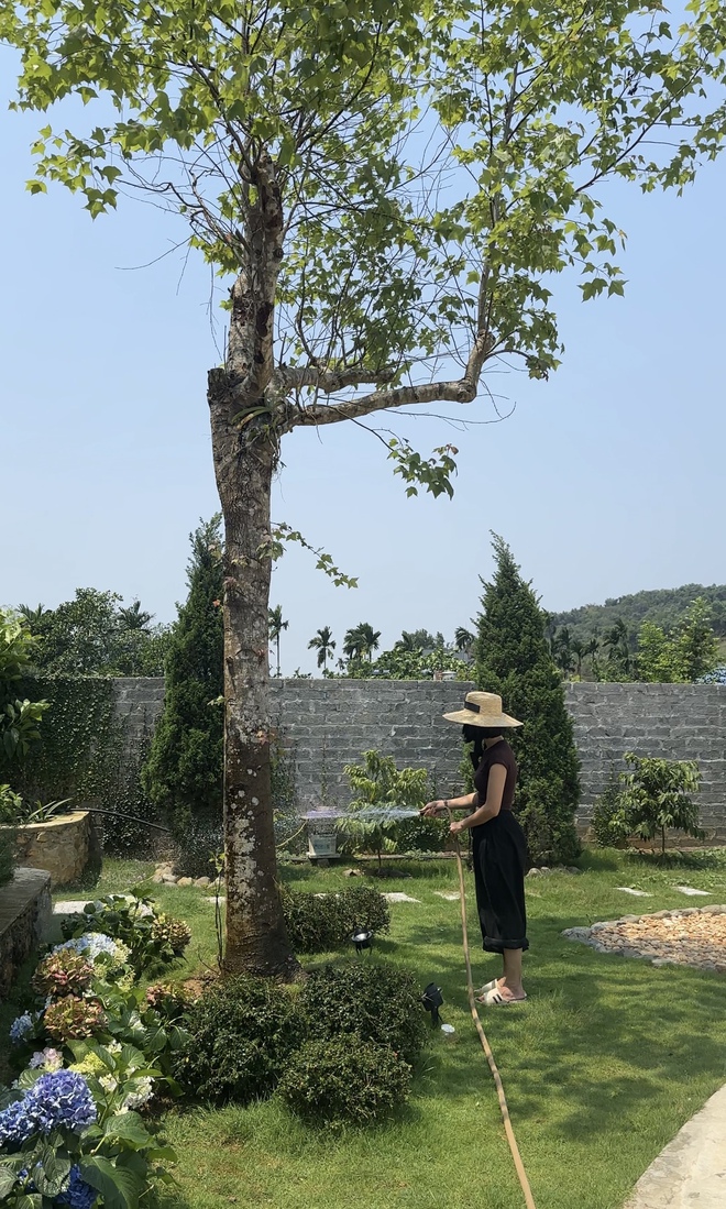 B&ecirc;n trong "second home" phủ k&iacute;n c&acirc;y ăn tr&aacute;i, nằm giữa thung lũng c&aacute;ch H&agrave; Nội 40km của c&ocirc; chủ tiệm hoa- Ảnh 17.
