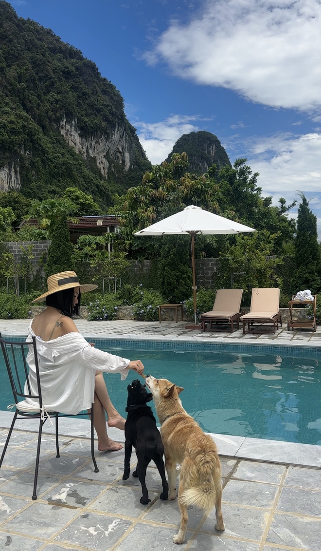 B&ecirc;n trong "second home" phủ k&iacute;n c&acirc;y ăn tr&aacute;i, nằm giữa thung lũng c&aacute;ch H&agrave; Nội 40km của c&ocirc; chủ tiệm hoa- Ảnh 16.