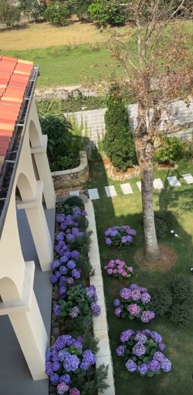 B&ecirc;n trong "second home" phủ k&iacute;n c&acirc;y ăn tr&aacute;i, nằm giữa thung lũng c&aacute;ch H&agrave; Nội 40km của c&ocirc; chủ tiệm hoa- Ảnh 11.