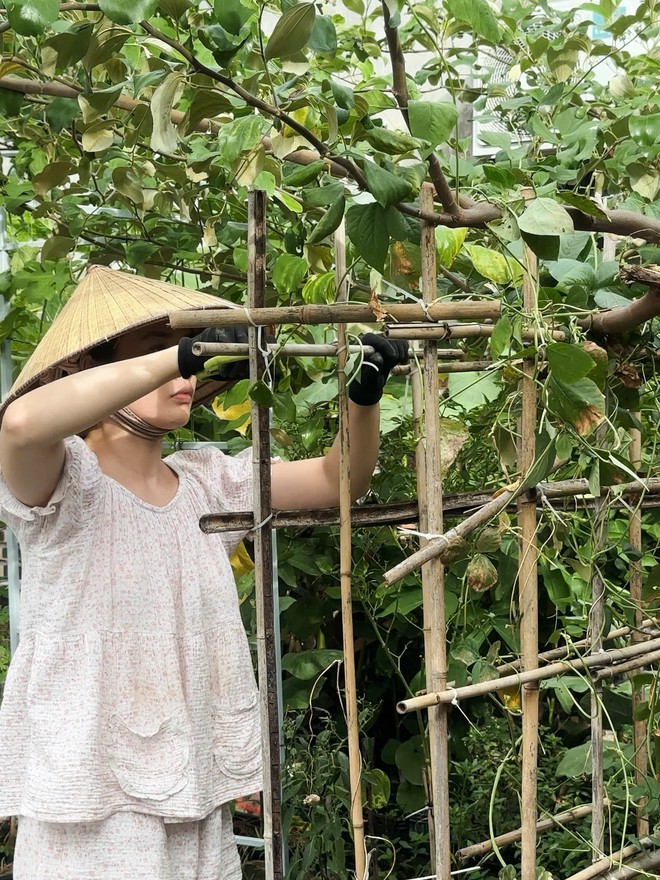 Work from anywhere: Rời Hà Nội và TP HCM, 2 người trẻ xây nhà, lương đều, ít ốm vặt và tiết kiệm hơn - Ảnh 7.