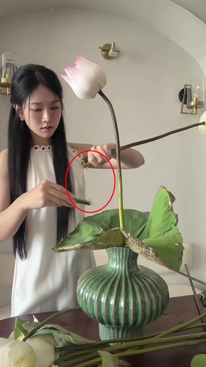 Lê Bống cắm hoa sen “chọc giận” 1 triệu người - Ảnh 3.