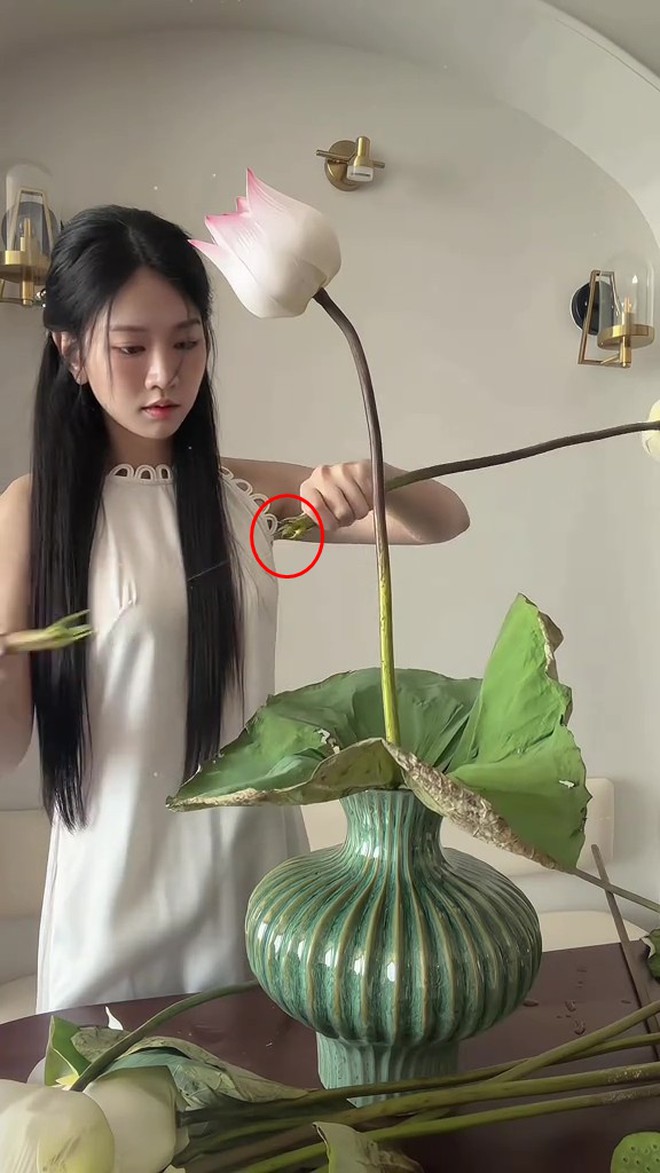 Lê Bống cắm hoa sen “chọc giận” 1 triệu người - Ảnh 4.