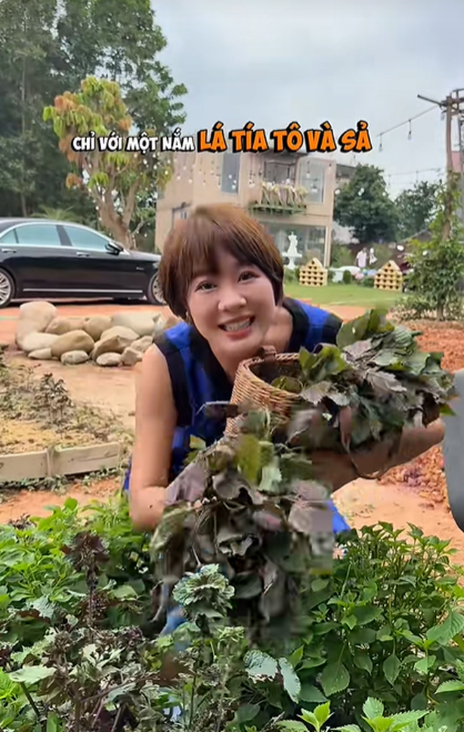 Ch&aacute;n ở biệt thự, &ldquo;ph&uacute; b&agrave;&rdquo; phim VFC dựng nh&agrave; container để sống - Ảnh 6.