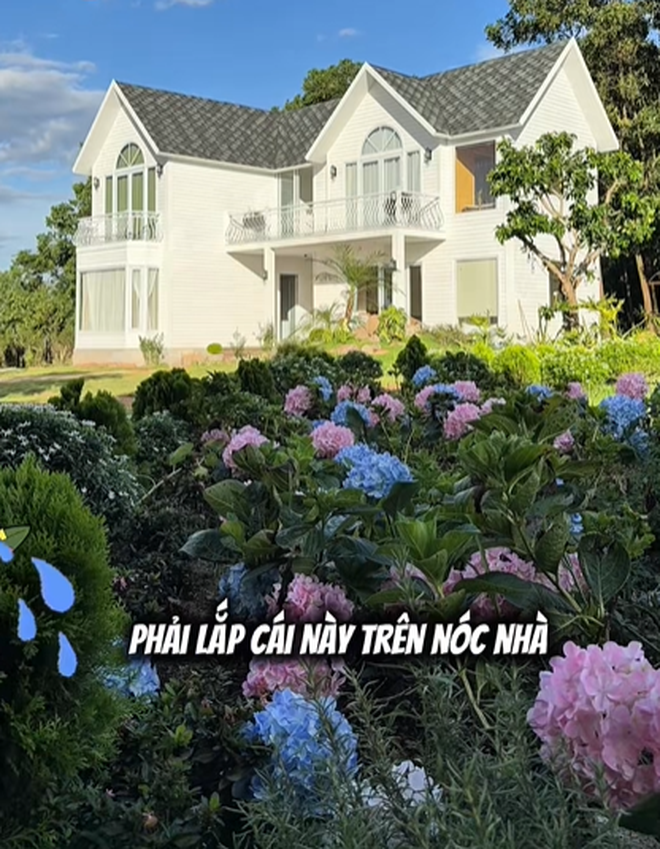 Ch&aacute;n ở biệt thự, &ldquo;ph&uacute; b&agrave;&rdquo; phim VFC dựng nh&agrave; container để sống - Ảnh 5.