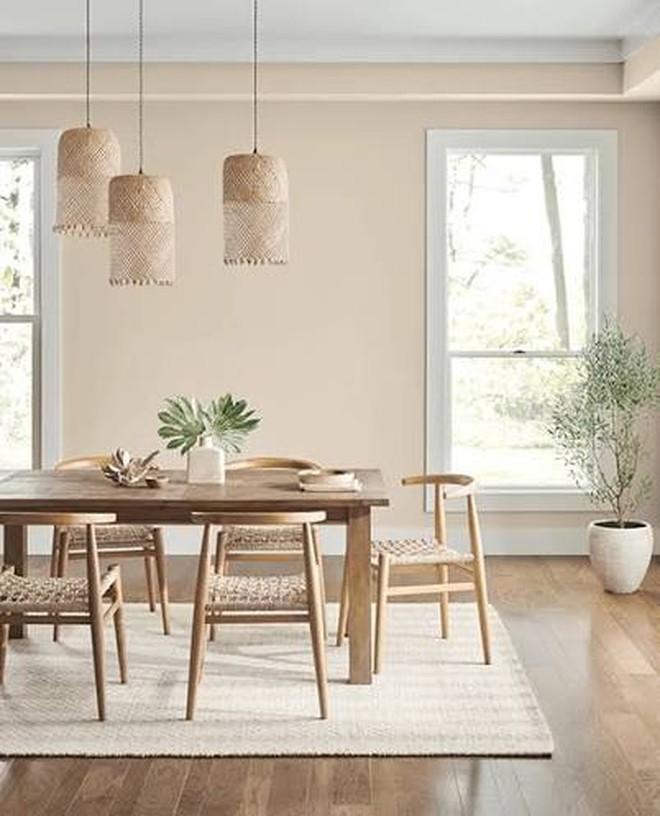 Vì sao ngày càng nhiều gia đình không còn sơn tường màu trắng? 2 gam màu đang dần trở thành xu hướng mới - Ảnh 3.