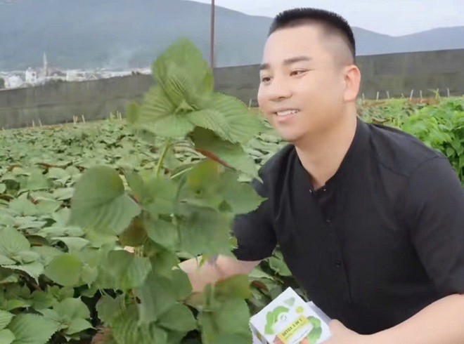 Vợ chồng Hữu C&ocirc;ng quảng b&aacute; bột rau detox rầm rộ cỡ n&agrave;o trước khi bị ti&ecirc;u hủy gần 76.000 sản phẩm, xử phạt? - Ảnh 3.