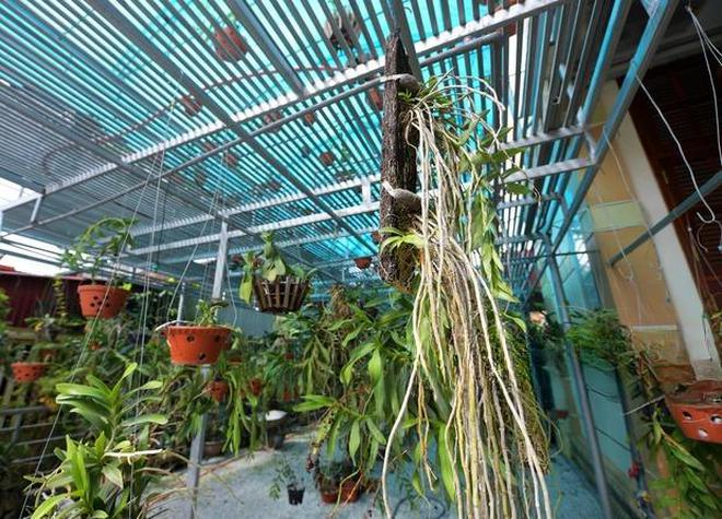 Căn nh&agrave; ở qu&ecirc; của vợ TGĐ Tập đo&agrave;n Sơn Hải- Ảnh 6.