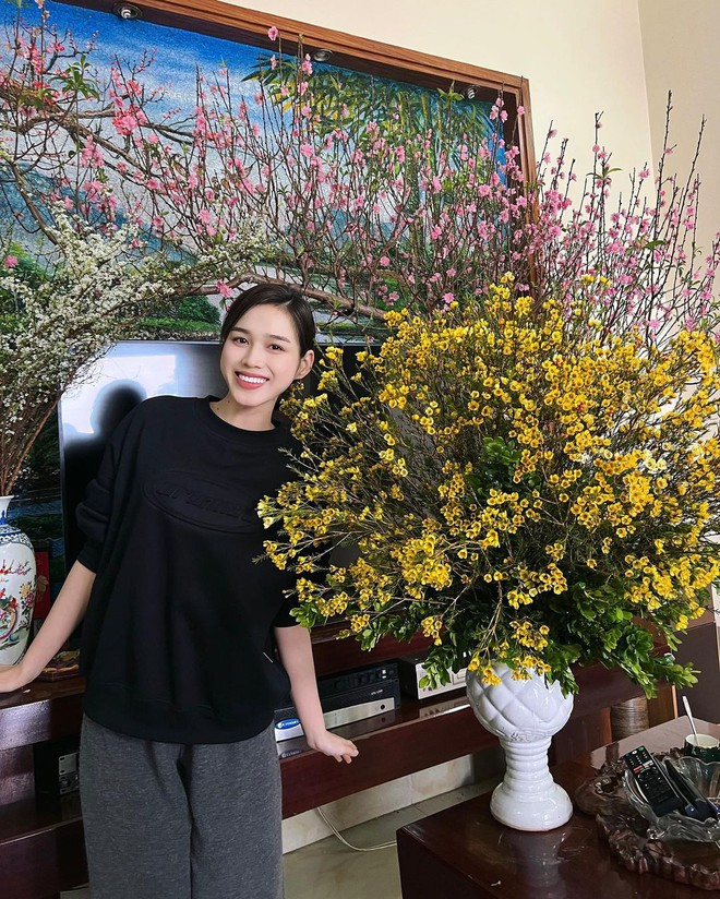 Căn nh&agrave; ở qu&ecirc; của vợ TGĐ Tập đo&agrave;n Sơn Hải- Ảnh 10.