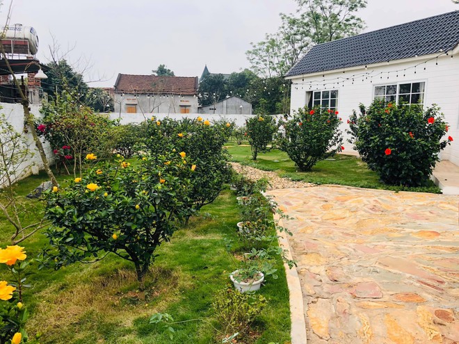 Biệt thự vườn 900m2 ở Tam Đảo của mỹ nhân ĐH Sân khấu - Điện ảnh Hà Nội bỏ sự nghiệp cưới chồng quê Lào Cai - Ảnh 8.