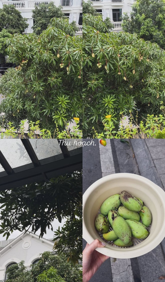 2 mỹ nhân nổi tiếng cùng lấy cầu thủ, ở biệt thự chục tỷ tại Hà Nội: Doãn Hải My và Ngô Tố Uyên có điểm chung bất ngờ - Ảnh 9.