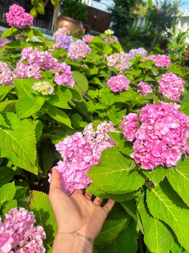 Bên trong biệt thự 500m2 như khu nghỉ dưỡng của nam ca sĩ quê Ninh Bình lấy vợ miền Tây, 3 thế hệ cùng chung sống- Ảnh 9.