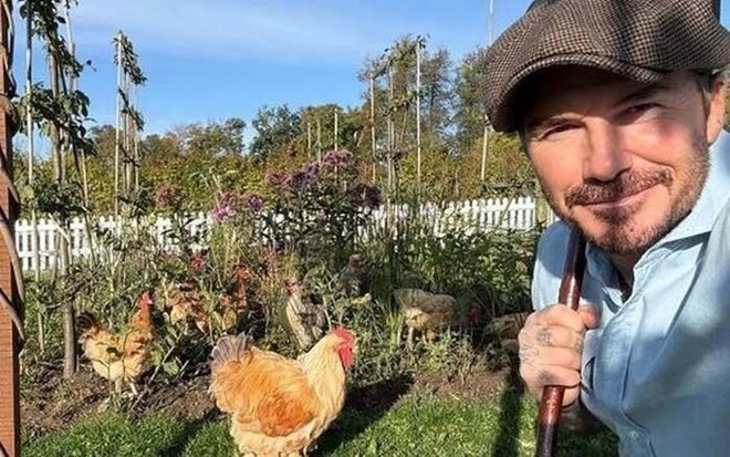 To&agrave;n cảnh khu đất 100.000m2 l&agrave; trang trại nu&ocirc;i g&agrave; của David Beckham - Ảnh 9.