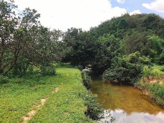 4 vườn tr&aacute;i c&acirc;y ở L&acirc;m Đồng v&agrave; biệt thự 2.000m&sup2; tại &ldquo;l&agrave;ng nh&agrave; gi&agrave;u&rdquo; TP.HCM của Đỗ Mạnh Cường- Ảnh 3.