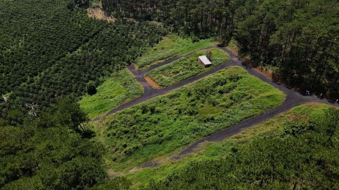 4 vườn tr&aacute;i c&acirc;y ở L&acirc;m Đồng v&agrave; biệt thự 2.000m&sup2; tại &ldquo;l&agrave;ng nh&agrave; gi&agrave;u&rdquo; TP.HCM của Đỗ Mạnh Cường- Ảnh 4.