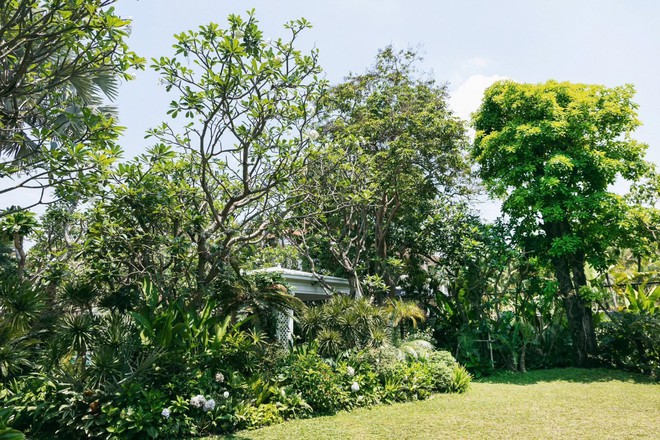 4 vườn tr&aacute;i c&acirc;y ở L&acirc;m Đồng v&agrave; biệt thự 2.000m&sup2; tại &ldquo;l&agrave;ng nh&agrave; gi&agrave;u&rdquo; TP.HCM của Đỗ Mạnh Cường- Ảnh 13.