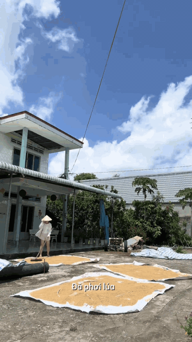 Căn nh&agrave; miền T&acirc;y khiến c&otilde;i mạng ch&oacute;ng mặt, qu&eacute;t dọn cả buổi vẫn chưa xong - Ảnh 8.