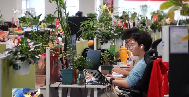 Trồng trọt ở văn phòng chưa đã, hội “nông dân công sở” rủ nhau thuê 12m² đất ở ngoài thành, mỗi năm thu hoạch 100kg rau - Ảnh 6.