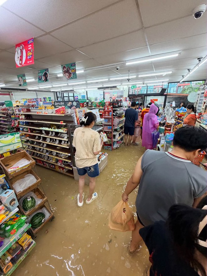 V&igrave; sao giữa đợt ngập lụt ở Bangkok lại xuất hiện loạt ảnh h&agrave;ng qu&aacute;n biến th&agrave;nh hồ bơi, kh&aacute;ch n&acirc;ng ly giữa đ&agrave;n vịt cao su? - Ảnh 8.