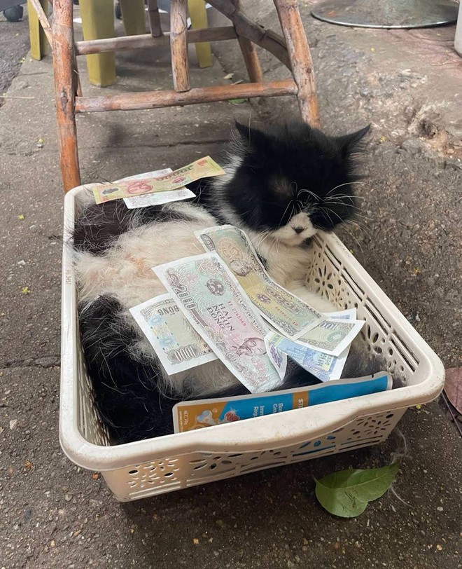 Phát hiện địa điểm dễ gặp MCK nhất Hà Nội: Quán phở bê đồ bằng xe điện cân bằng, mùa lũ có ngày treo hàng trăm suất - Ảnh 17.