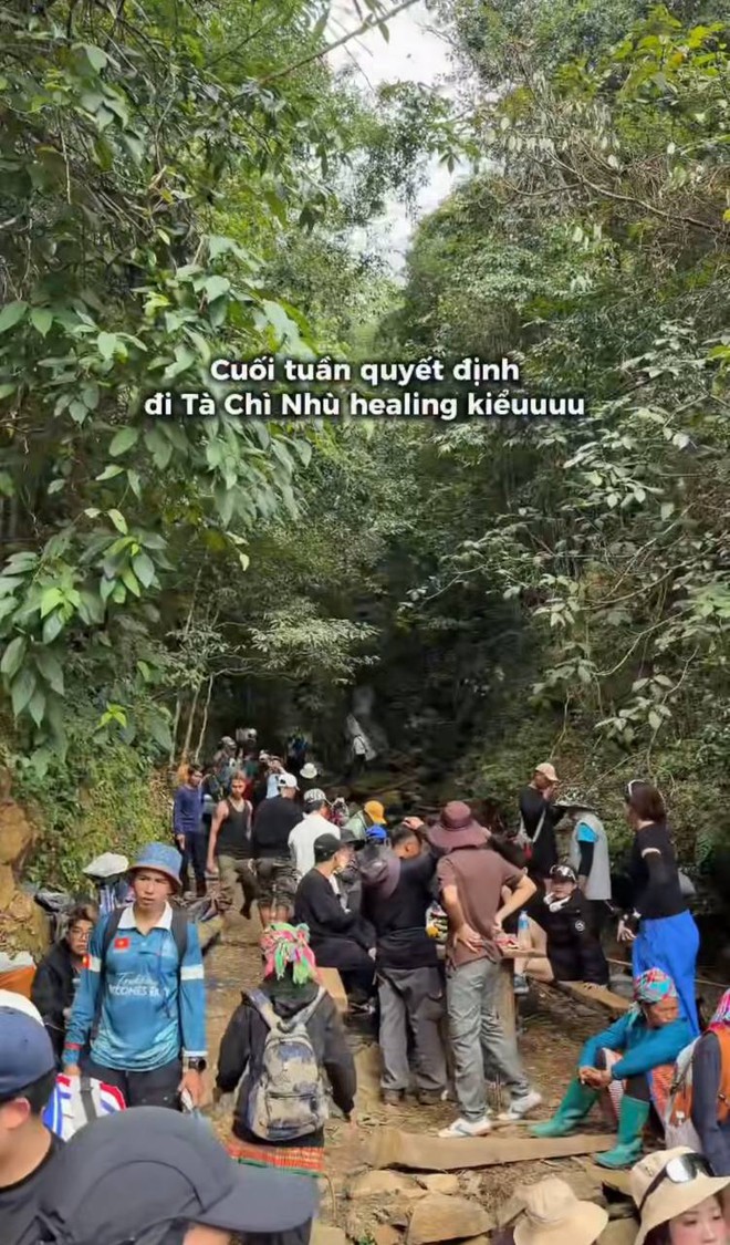 T&agrave; Ch&igrave; Nh&ugrave; m&ugrave;a hoa Chi P&acirc;u: Leo gần 3.000 m vẫn phải xếp h&agrave;ng, du kh&aacute;ch sợ tắc đường đến to&aacute;t mồ h&ocirc;i  - Ảnh 6.