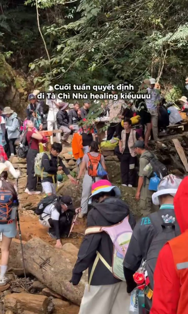 T&agrave; Ch&igrave; Nh&ugrave; m&ugrave;a hoa Chi P&acirc;u: Leo gần 3.000 m vẫn phải xếp h&agrave;ng, du kh&aacute;ch sợ tắc đường đến to&aacute;t mồ h&ocirc;i  - Ảnh 7.
