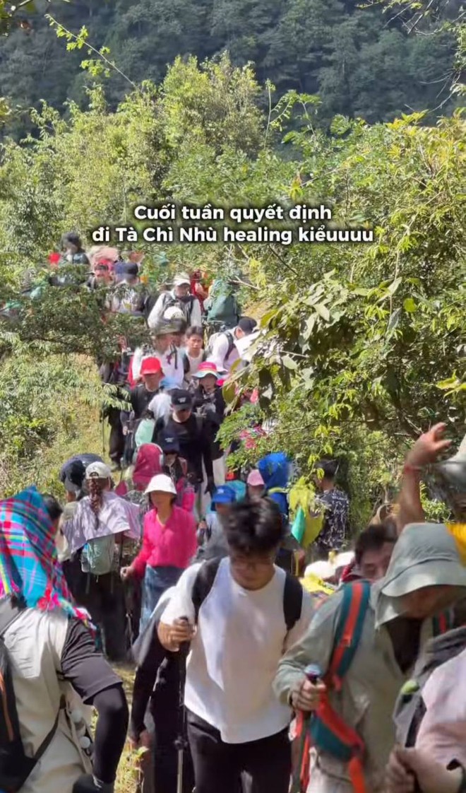 T&agrave; Ch&igrave; Nh&ugrave; m&ugrave;a hoa Chi P&acirc;u: Leo gần 3.000 m vẫn phải xếp h&agrave;ng, du kh&aacute;ch sợ tắc đường đến to&aacute;t mồ h&ocirc;i  - Ảnh 5.