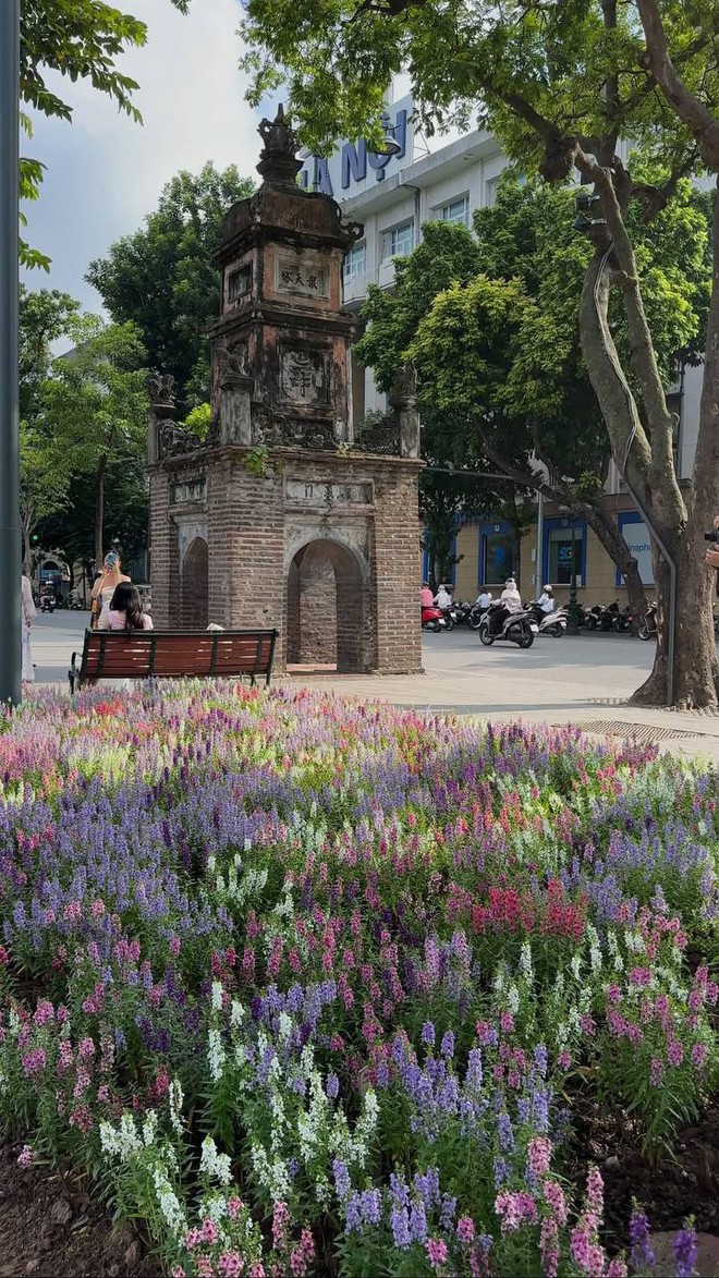 &ldquo;Quyết kh&ocirc;ng để c&aacute;c n&agrave;ng thơ nh&agrave;m ch&aacute;n&rdquo;: Hồ Gươm lại thay thảm hoa mới, H&agrave; Nội dạo n&agrave;y thơ thế nhỉ! - Ảnh 30.