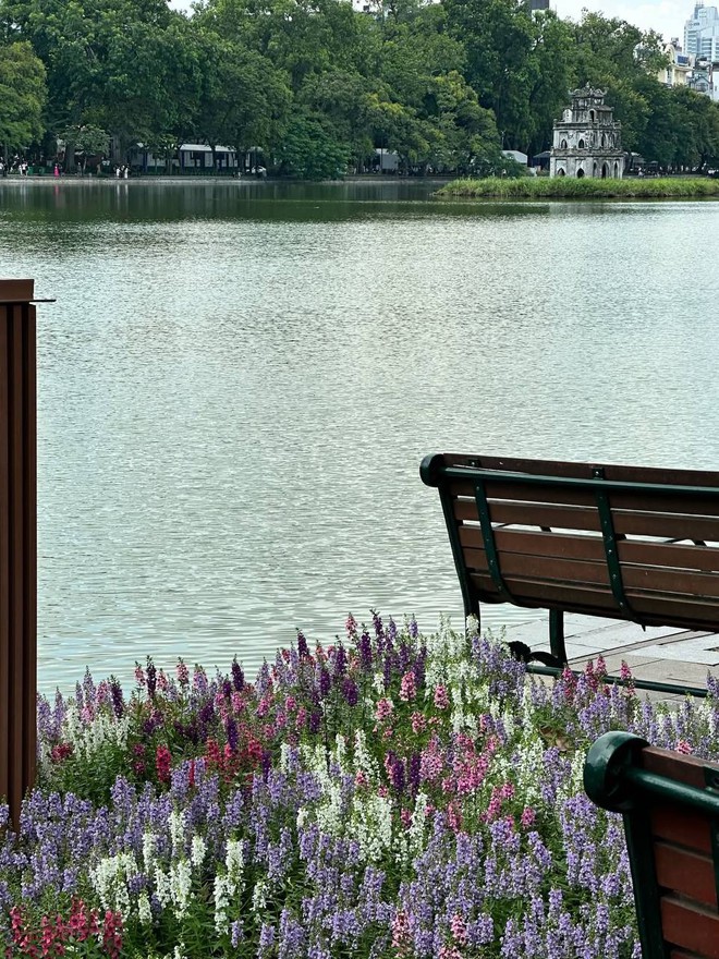 &ldquo;Quyết kh&ocirc;ng để c&aacute;c n&agrave;ng thơ nh&agrave;m ch&aacute;n&rdquo;: Hồ Gươm lại thay thảm hoa mới, H&agrave; Nội dạo n&agrave;y thơ thế nhỉ! - Ảnh 29.