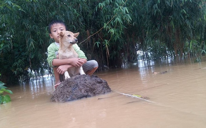 Photos of the day: Cậu bé và chú chó trong nước lũ