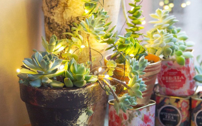 4 cách trang trí với dây đèn làm phòng bạn lung linh trong 1 nốt nhạc