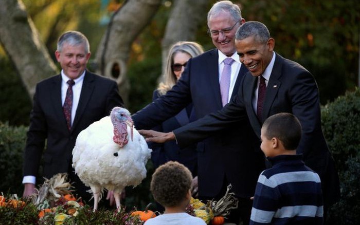 Photos of the day: Buổi lễ ân xá gà tây cuối cùng của Tổng thống Obama