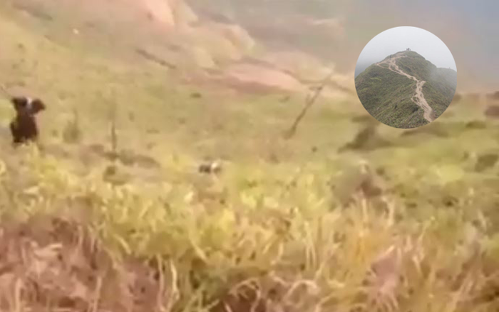 Phượt thủ rơi xuống vực trên "Sống Lưng Khủng Long" ở Tà Xùa ngày mùng 4 Tết