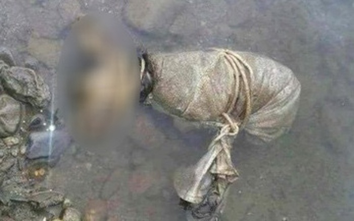 Xót xa với hình ảnh chú chó nhỏ bị buộc chân tay chết trôi trên sông
