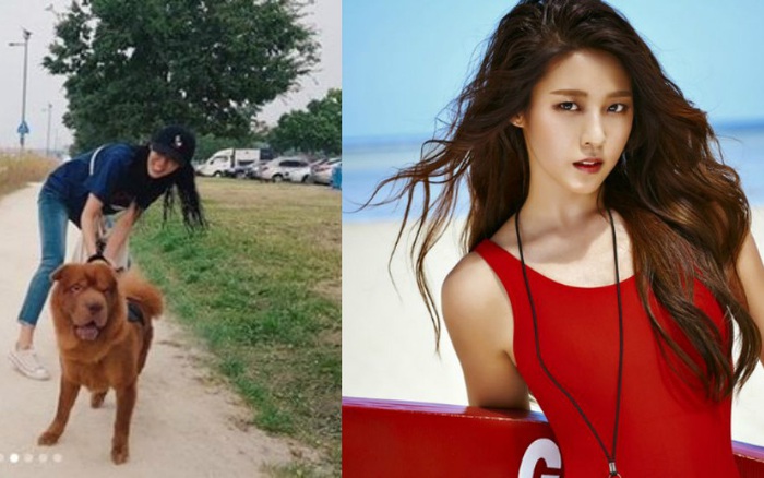 Seolhyun (AOA) bị netizen phản ứng dữ dội khi dắt chú chó cưng to bự đi dạo mà không sử dụng rọ mõm