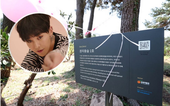 G-Dragon được lấy tên đặt cho cả một cánh rừng trên đảo Jeju